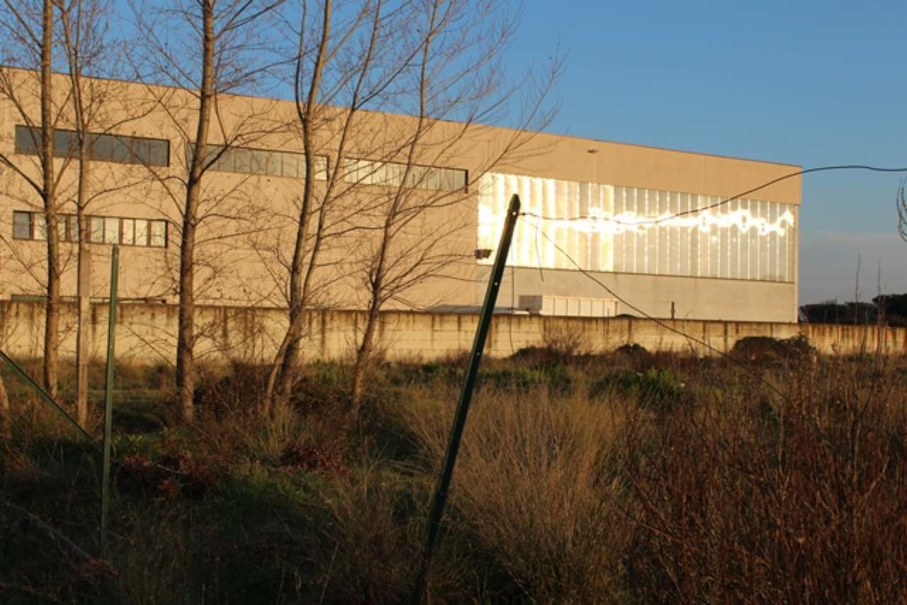 Capannone in Vendita