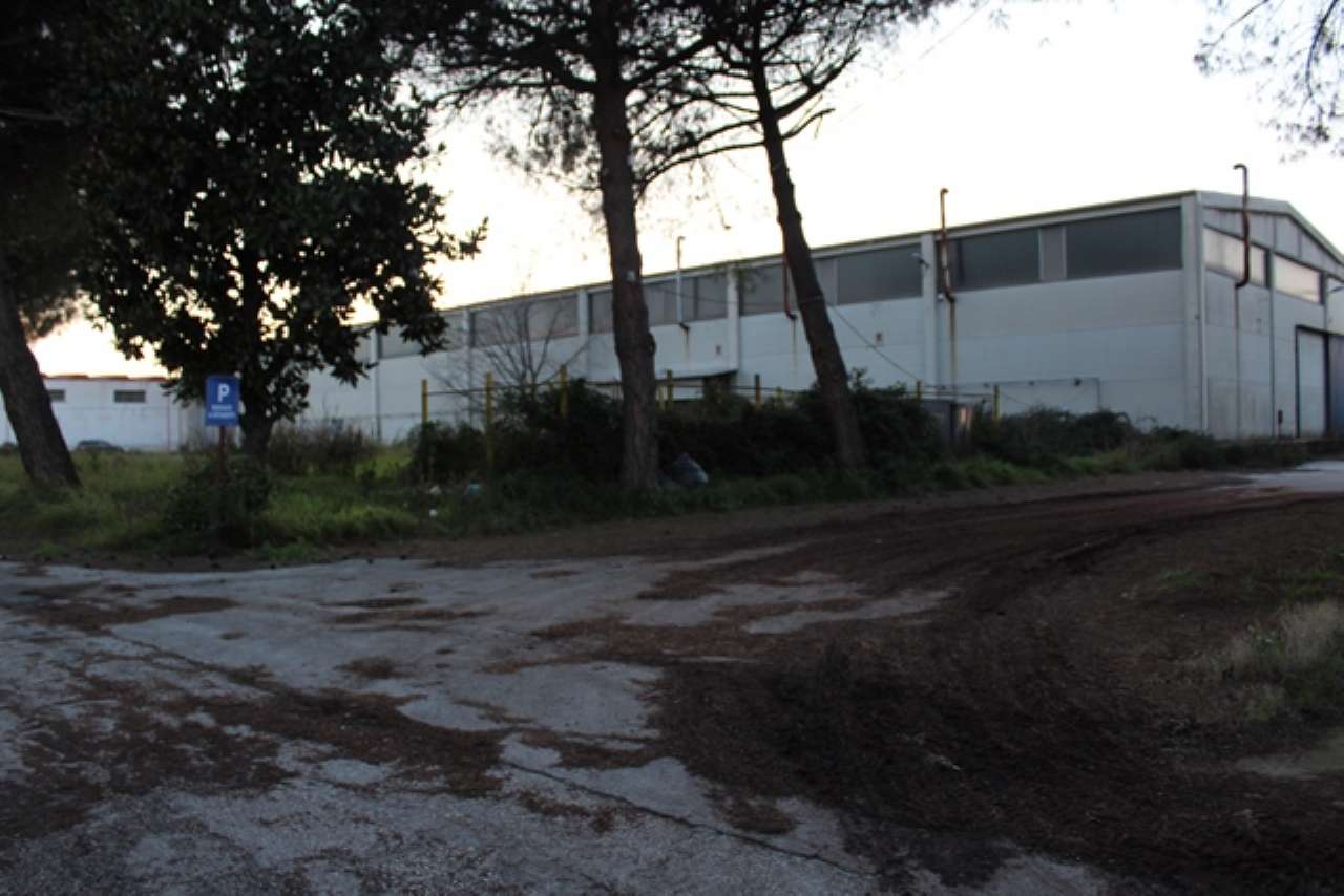 Capannone in Vendita