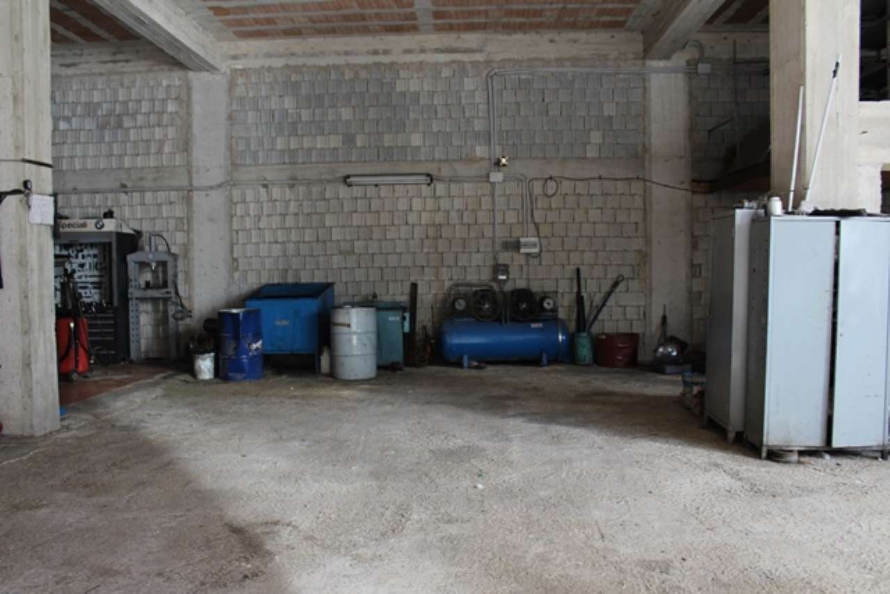 Capannone in Affitto