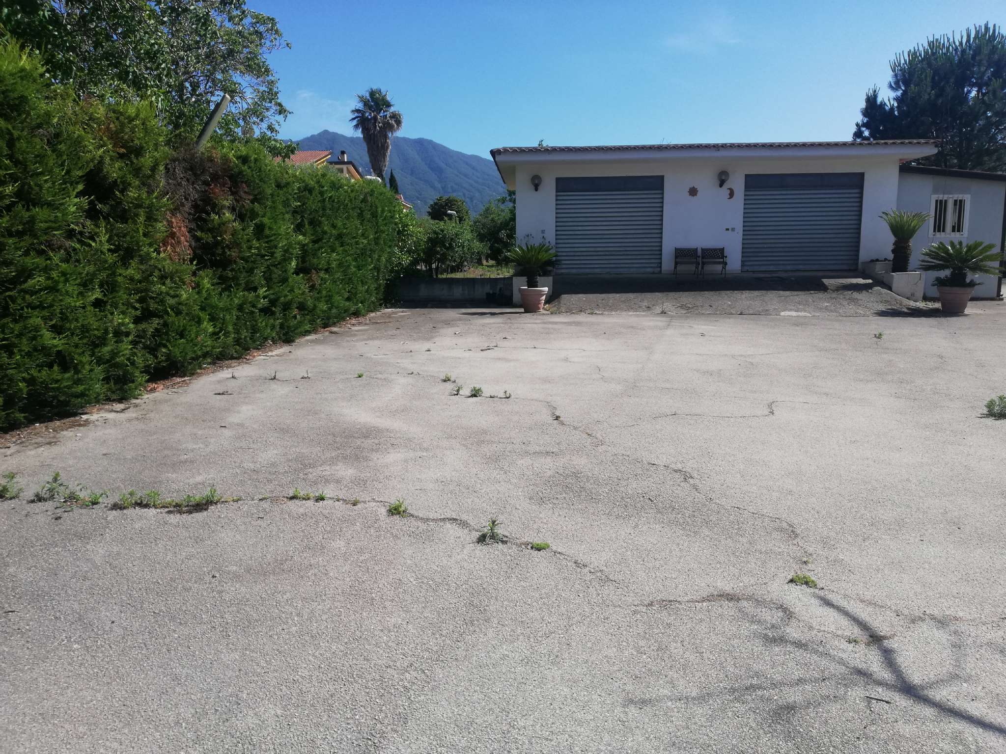 Somma Vesuviana Affitto COMMERCIALI