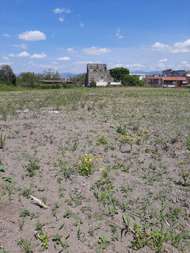 Somma Vesuviana Vendita CASALE / RUSTICO / CASA / CASCINA Immagine 4