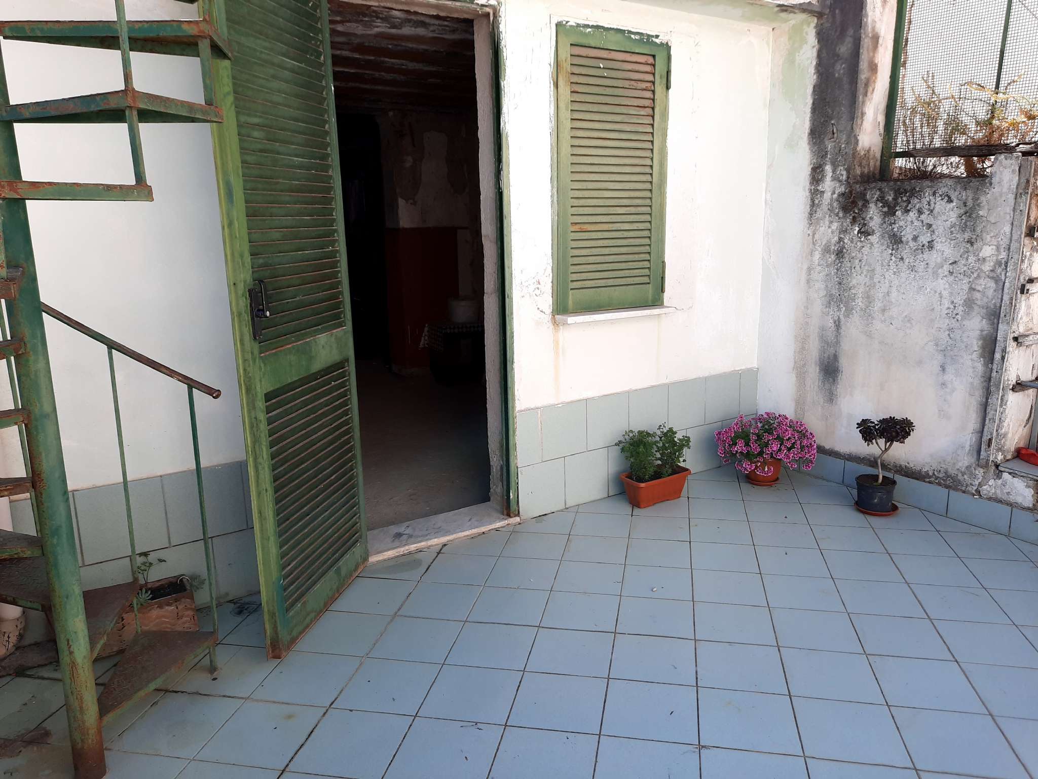 Nola Vendita APPARTAMENTO Immagine 0