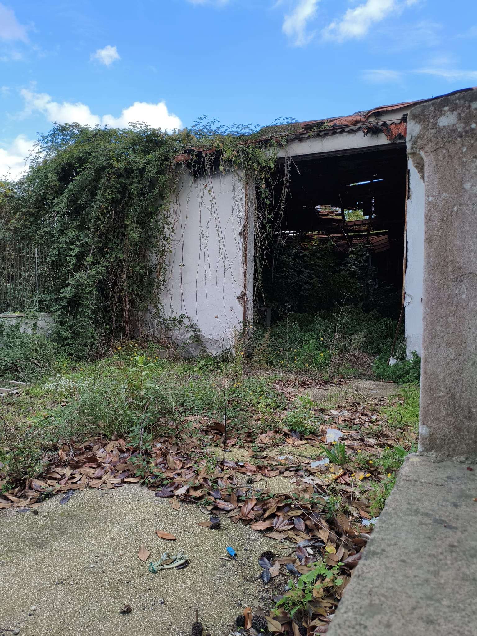 Brusciano Vendita CAPANNONE