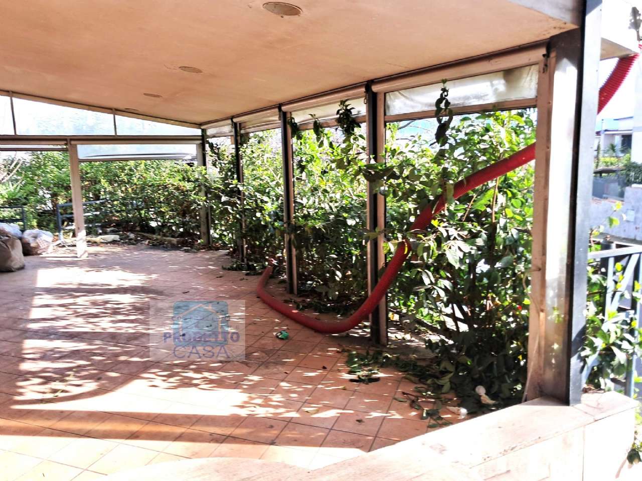 Nola Vendita COMMERCIALI