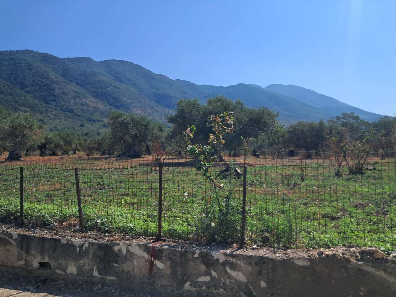 VENDITE Attività e Licenze a Avella – foto 1