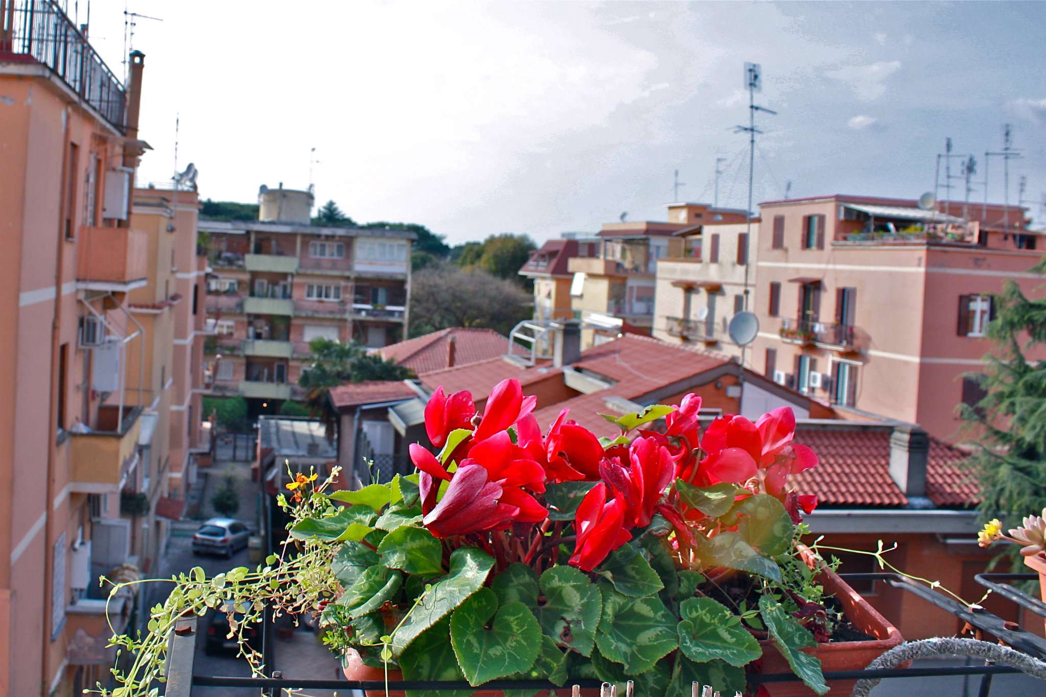  roma vendita quart: bravetta punto immobiliare bravetta