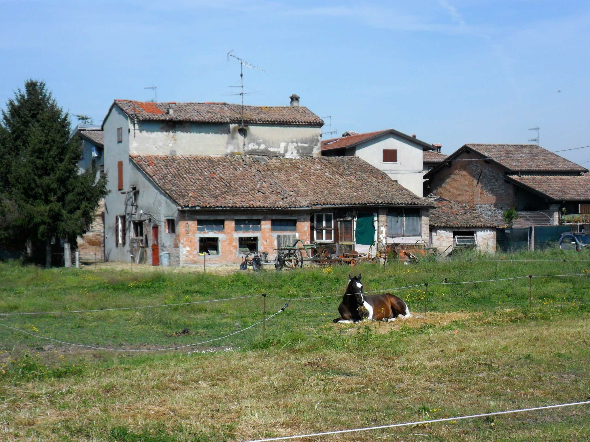 Rustico - Cascina NOCETO vendita   ghiaie di mezzo A CASA immobiliare