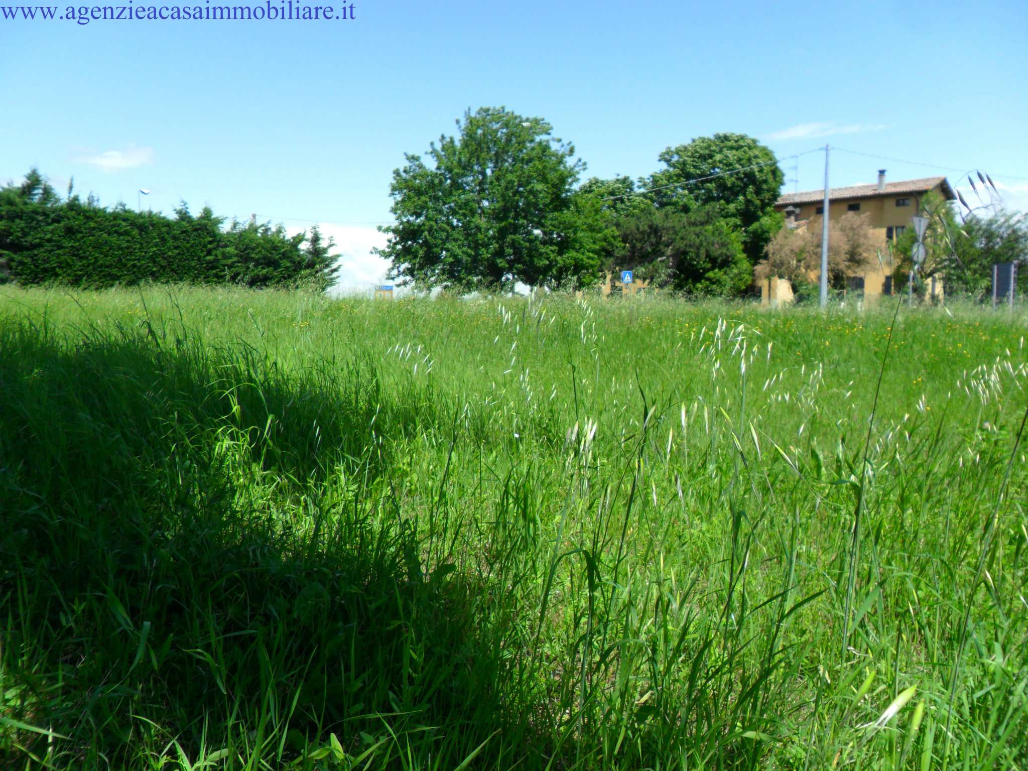 Villa MEDESANO vendita   Via Saltini A CASA immobiliare