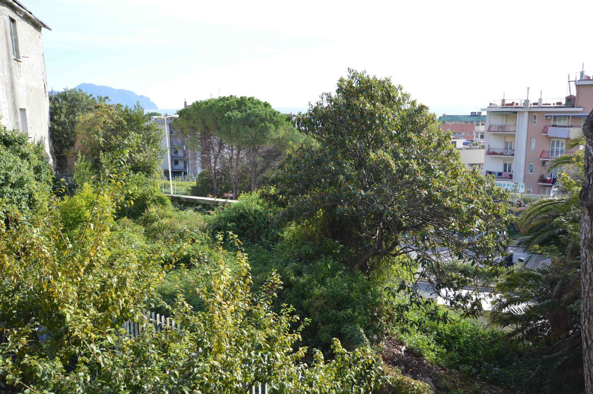 Appartamento GENOVA vendita  NERVI Nervi Adiacenze Missolungi FONDOCASA GENOVA ALBARO - Albaro Uno