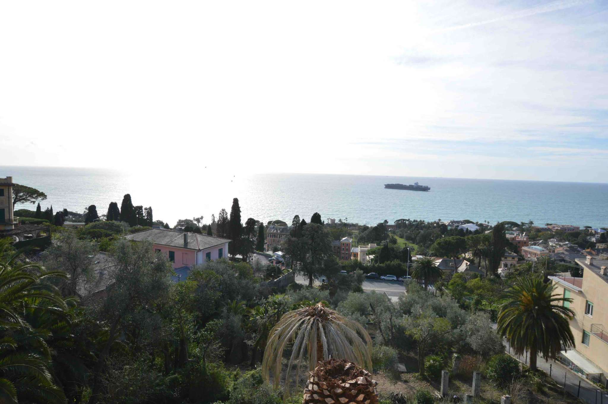 Appartamento GENOVA vendita  NERVI dei Floricoltori FONDOCASA GENOVA ALBARO - Albaro Uno