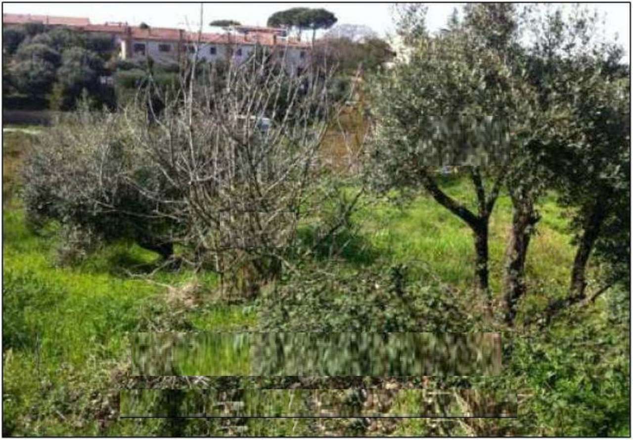 Appartamento ROMA vendita  AEROPORTO DI CIAMPINO (ZONA DELLA XI MUN.)  Via Positano Assieme Real Estate SRL