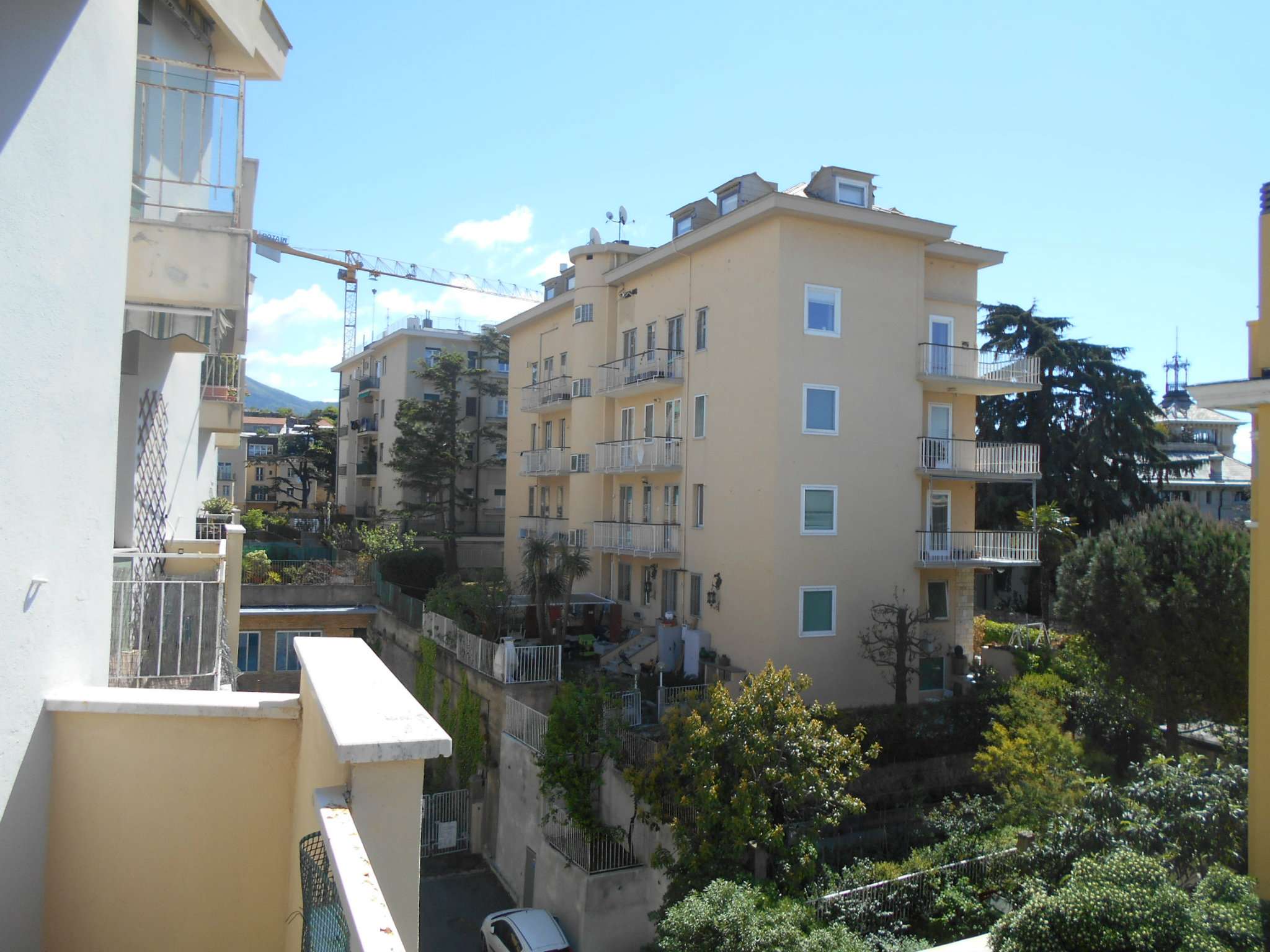 Appartamento GENOVA affitto  SAN MARTINO Montallegro Francoforte Immobiliare