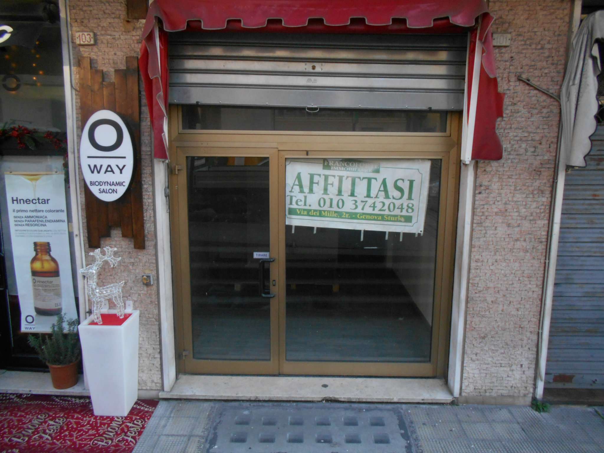  genova affitto quart: sturla francoforte-immobiliare