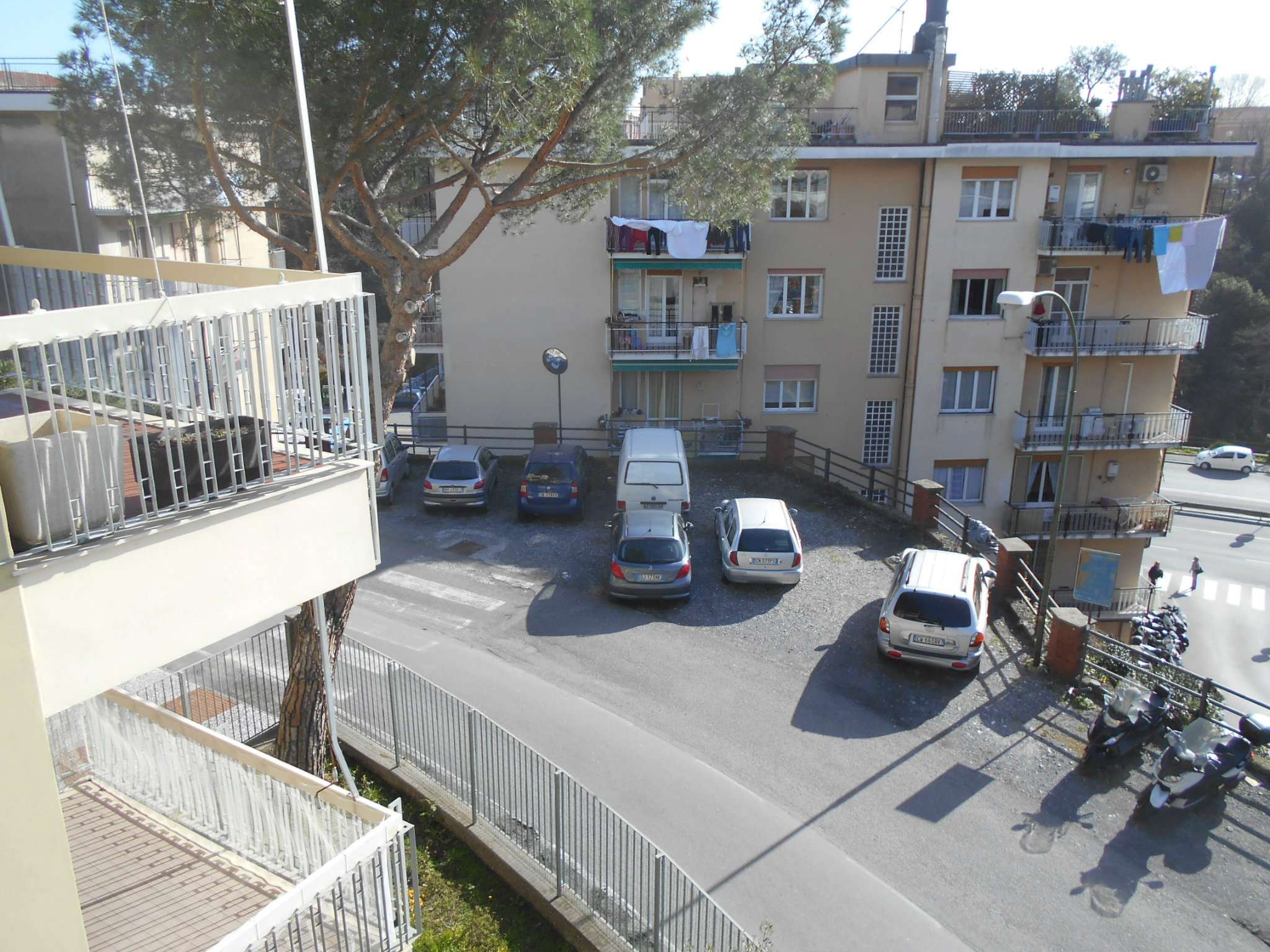 Appartamento GENOVA affitto  QUARTO Locchi Francoforte Immobiliare