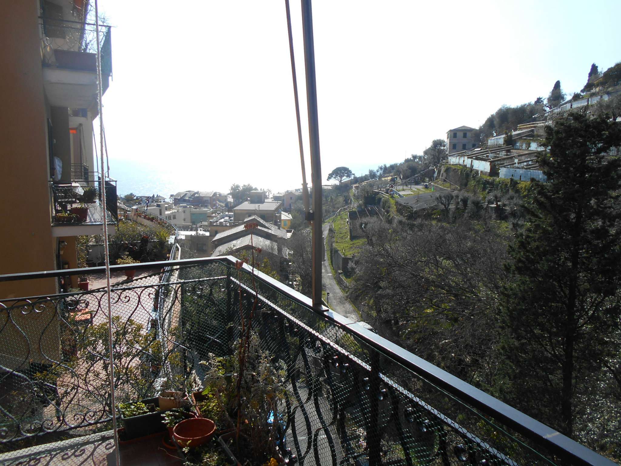  pieve-ligure vendita quart:  francoforte-immobiliare