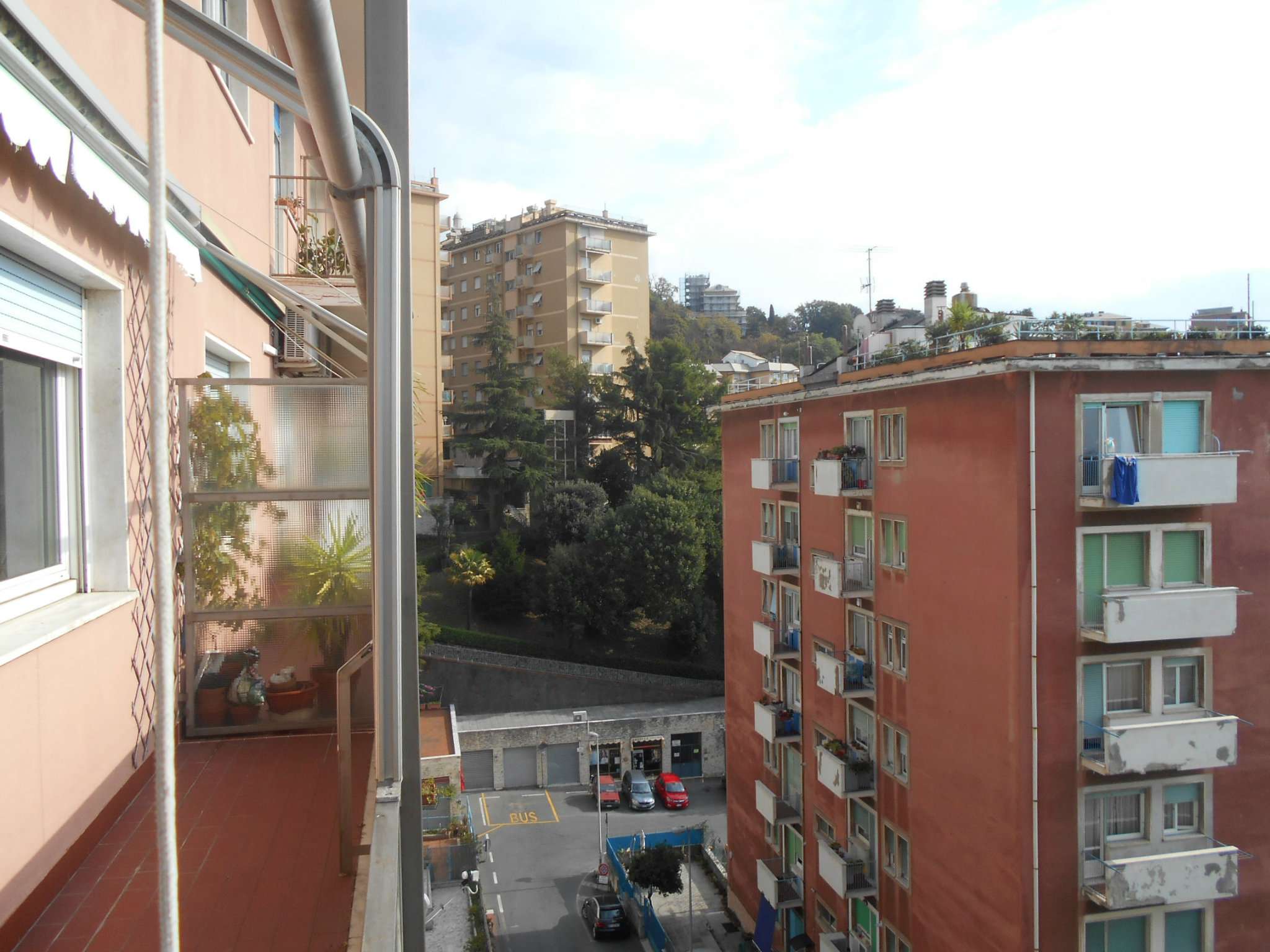 Appartamento GENOVA affitto  SAN FRUTTUOSO AMARENA Francoforte Immobiliare