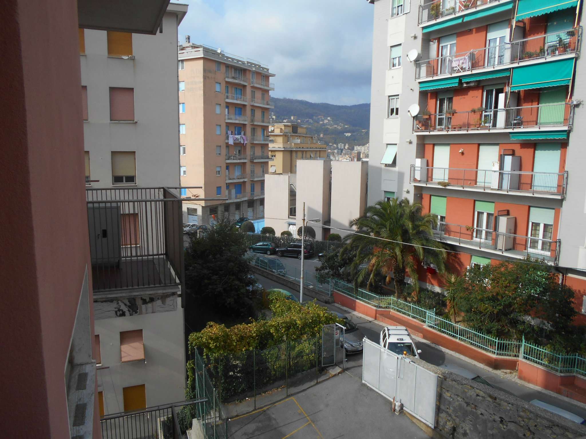 Appartamento GENOVA affitto  SAN FRUTTUOSO AMARENA Francoforte Immobiliare