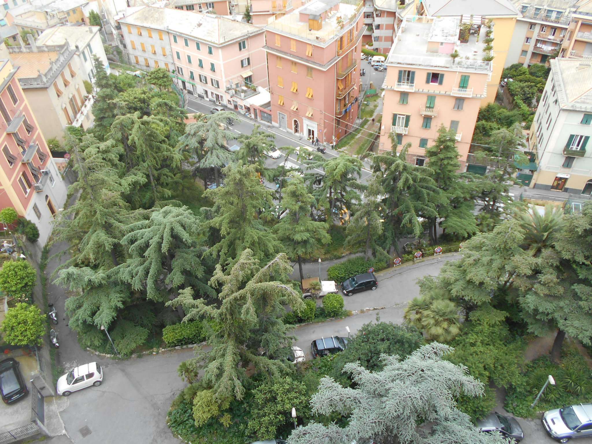 Appartamento GENOVA affitto  BORGORATTI Via Borgoratti Francoforte Immobiliare