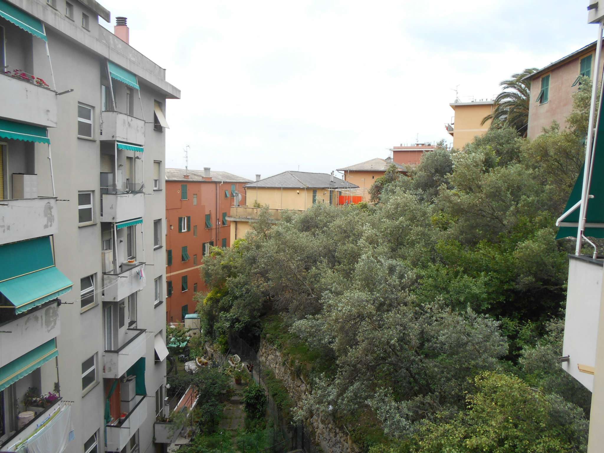  genova affitto quart: san martino francoforte immobiliare