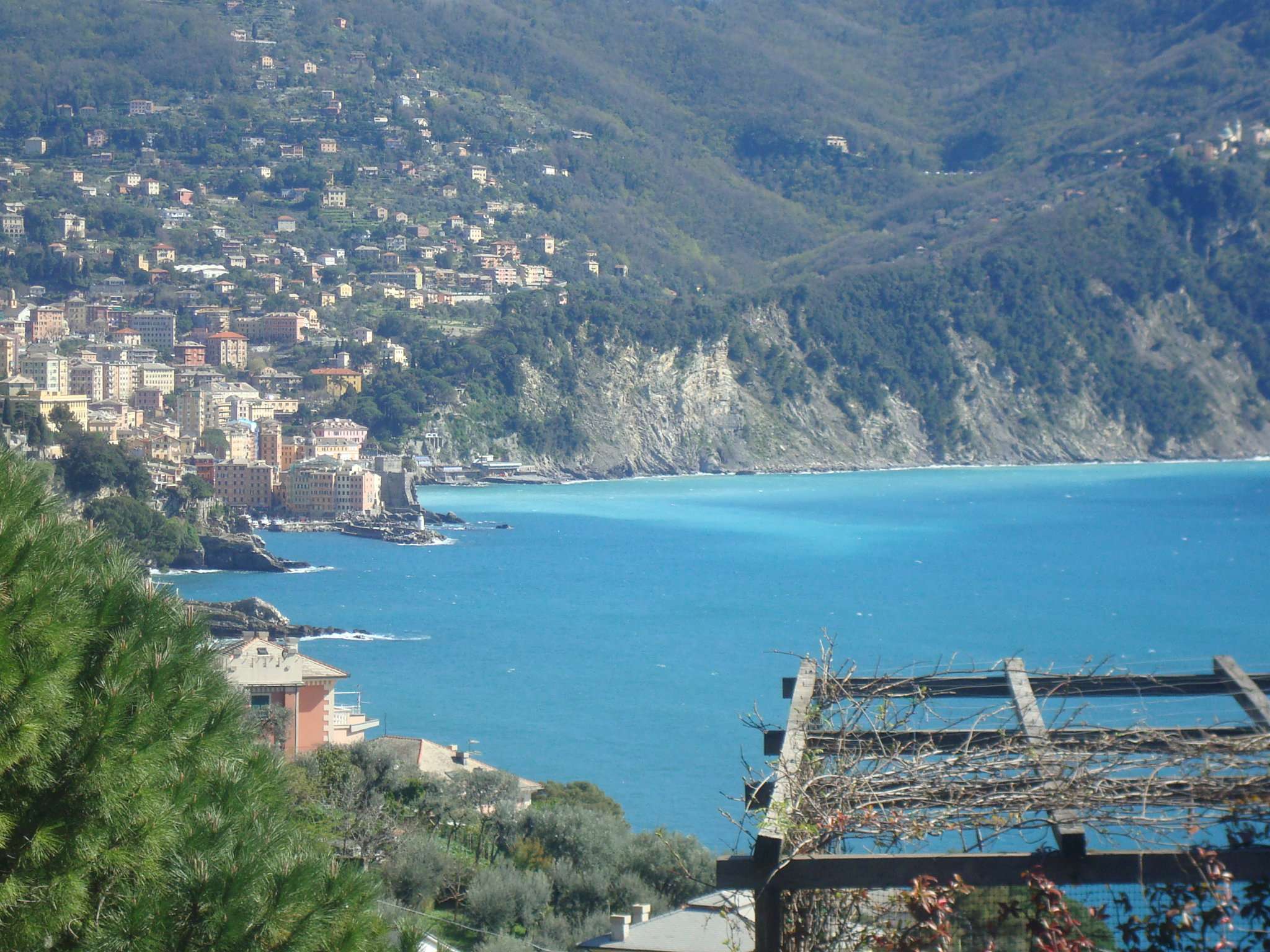 Villa Affiancata - Schiera RECCO affitto    Enza Adenti