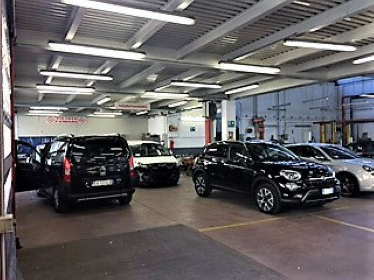 Negozio - Loc.Com. TORINO affitto  LINGOTTO palma di cesnola BATTOCCHIO IMMOBILIARE