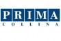 Logo Agenzia