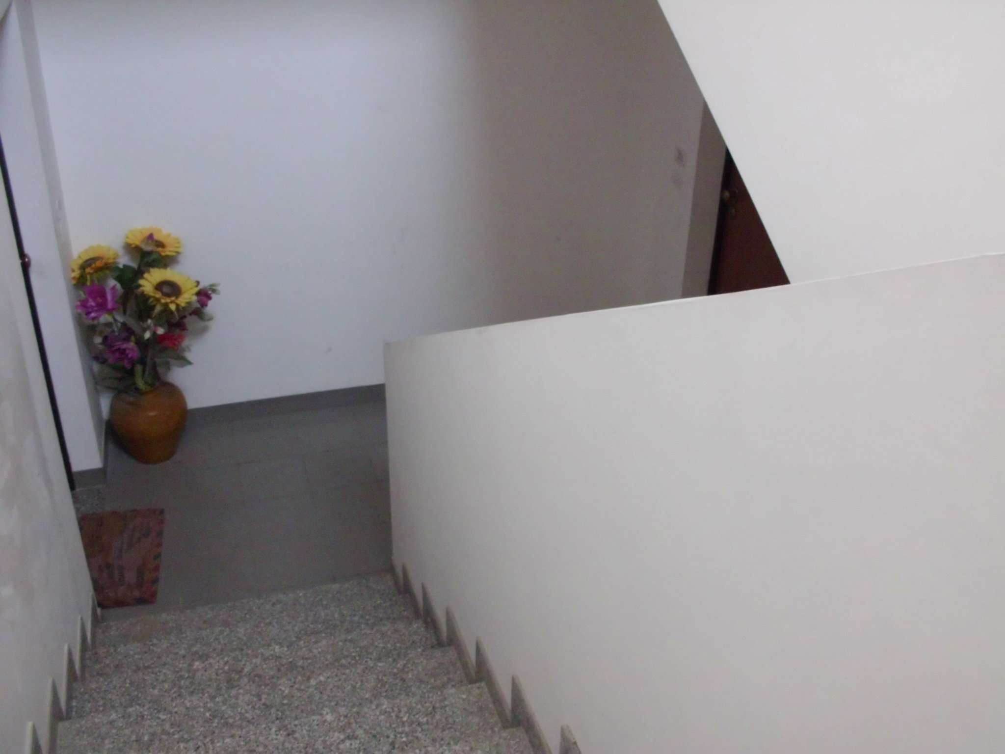 Mansarda - Sottotetto - Soffitta - Solaio CAPPELLE SUL TAVO affitto    Italia Affitti