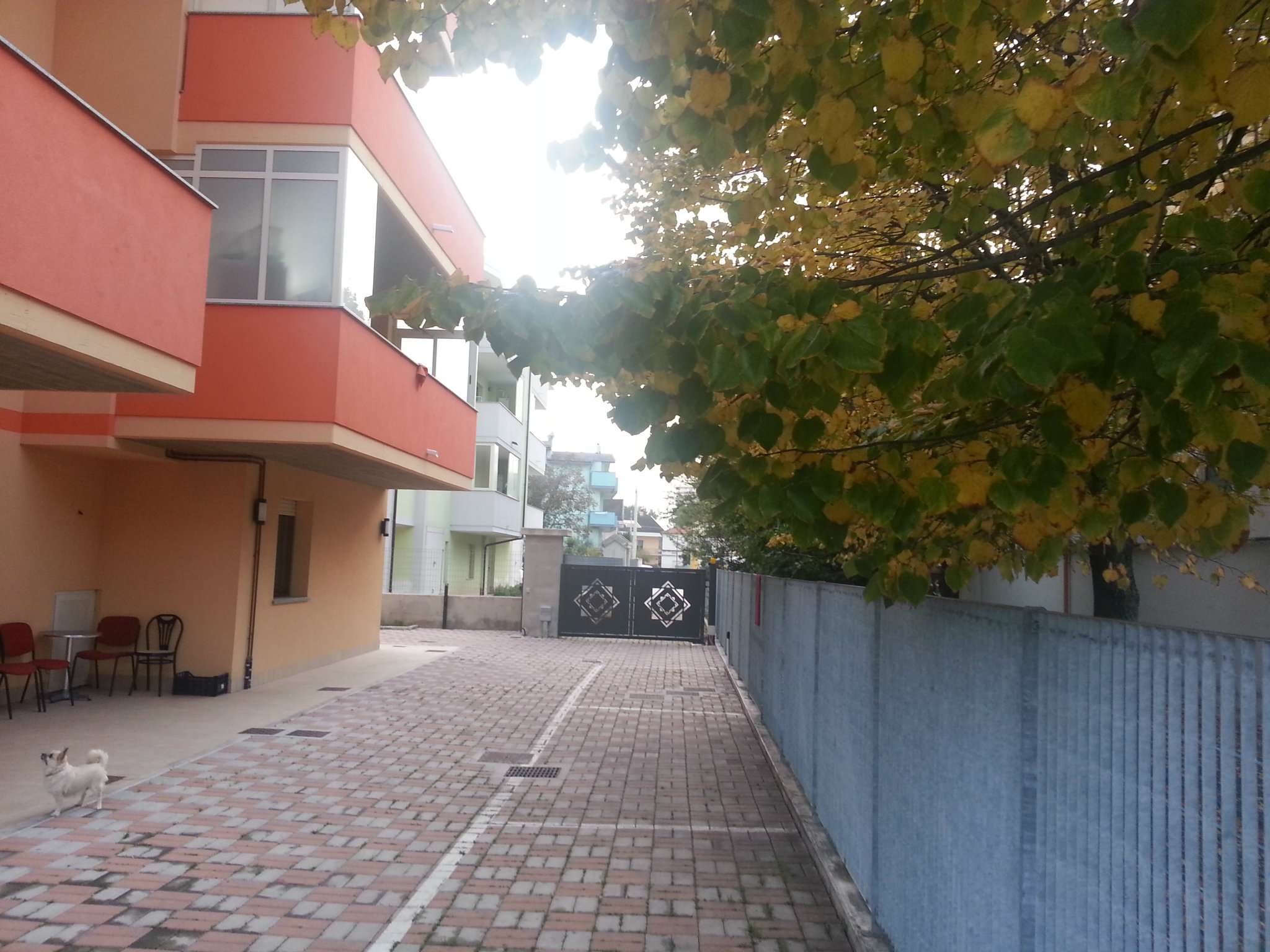 Box auto - Posto auto PESCARA affitto    Marconi S.r.l.