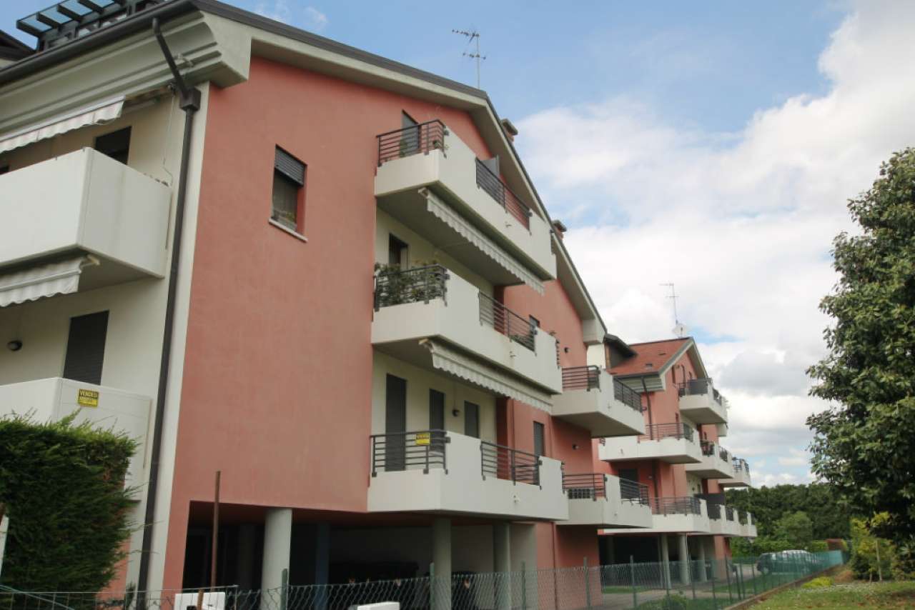 Appartamento PADOVA vendita  GUIZZA BOSCO PEDROCCHI IDEA CASA IMMOBILIARE SAS