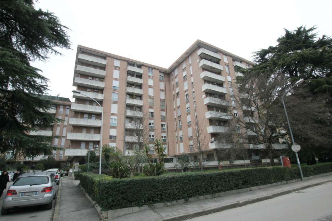 Appartamento PADOVA vendita  PALESTRO BRIGATA PADOVA IDEA CASA IMMOBILIARE SAS