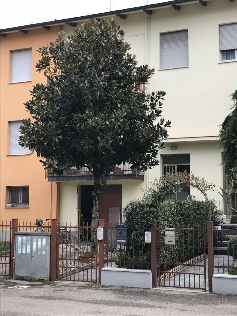 Appartamento PIEVE DI CENTO vendita    Si.Ma Immobiliare s.n.c