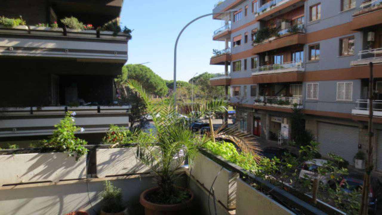 Appartamento ROMA vendita  LIDO DI OSTIA LEVANTE Danilo Stiepovich FEM SRL