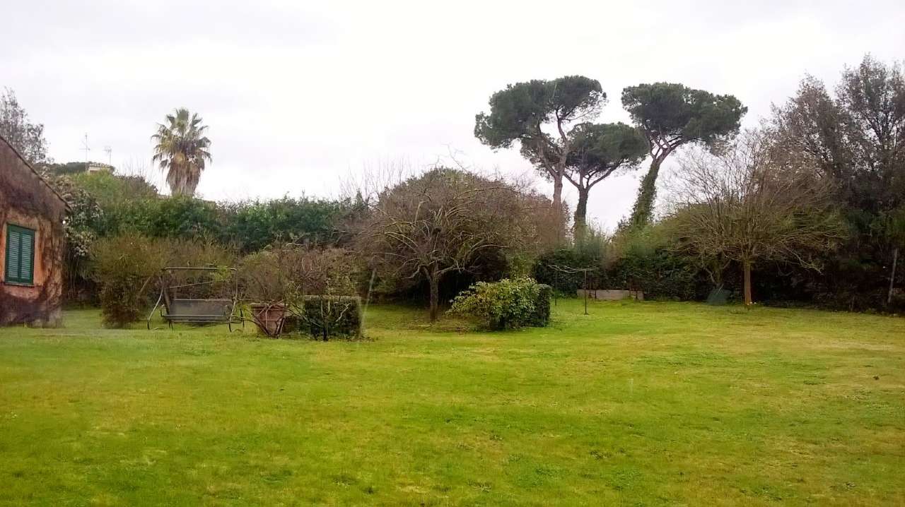 Villa Trifamiliare ROMA affitto  Cassia flaminia LARGO OLGIATA I.R.I. istituto regionale immobiliare srl