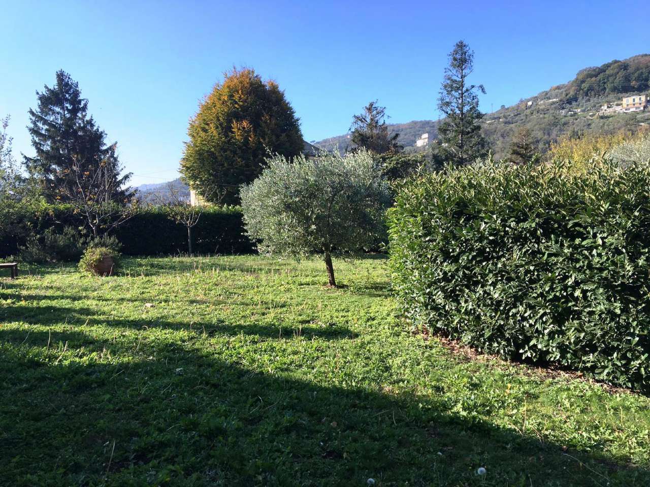 Appartamento GENOVA vendita  MOLASSANA INFERIORE FAMEIANO IMMOBILI & GESTIONI S.R.L.