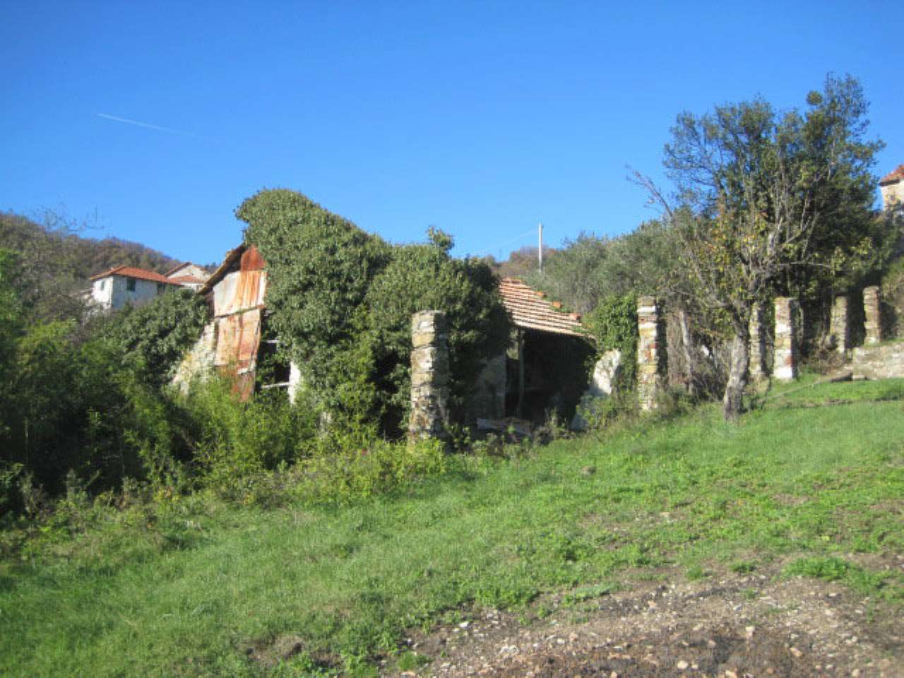 Rustico - Cascina GENOVA vendita  MOLASSANA DI PINO IMMOBILI & GESTIONI S.R.L.