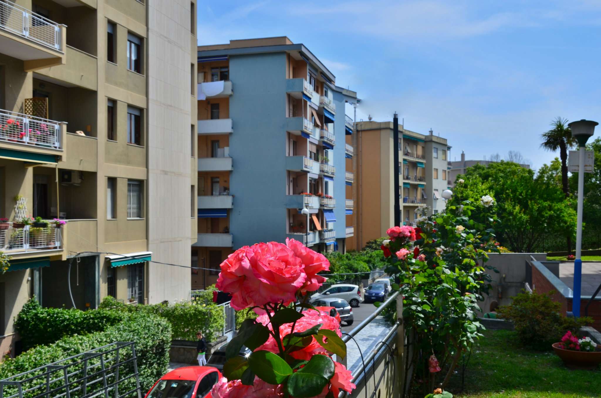 Appartamento GENOVA vendita  ALBARO VASSALLO IMMOBILI & GESTIONI S.R.L.