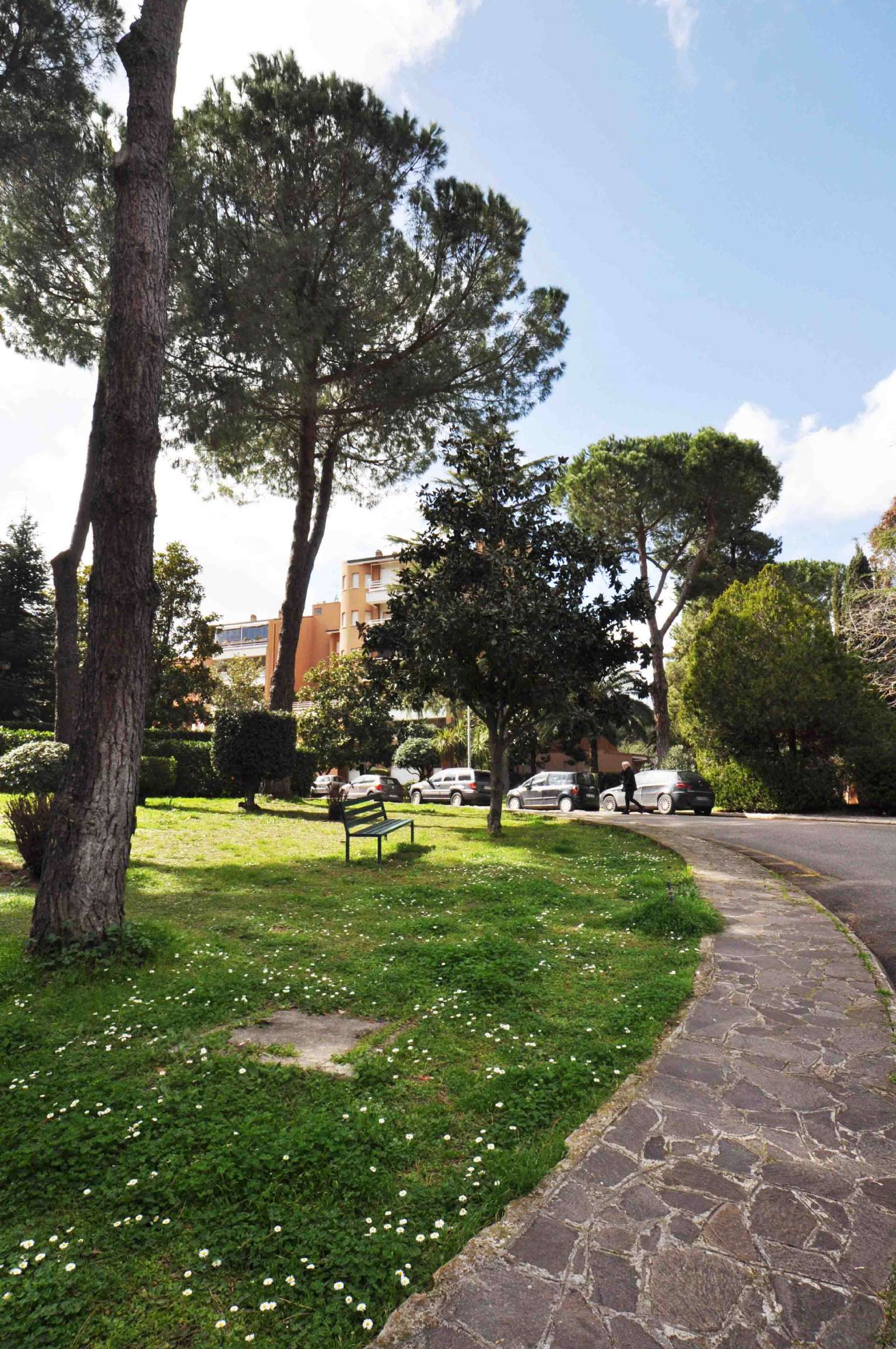 Appartamento ROMA vendita   pieve di cadore URBANA INSIEME SRL