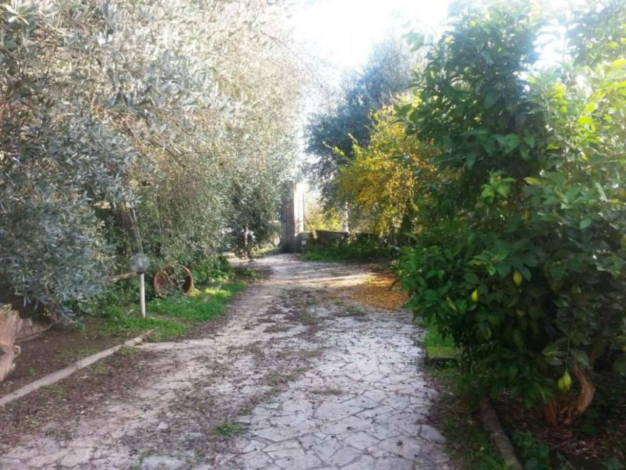 Villa Trifamiliare GUIDONIA MONTECELIO vendita   valle della cisterna Asso programma casa