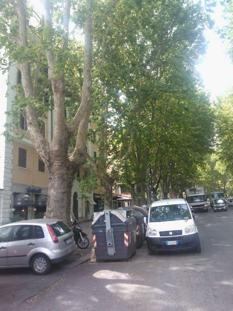 Appartamento ROMA vendita  PARIOLI  parioli Asso programma casa