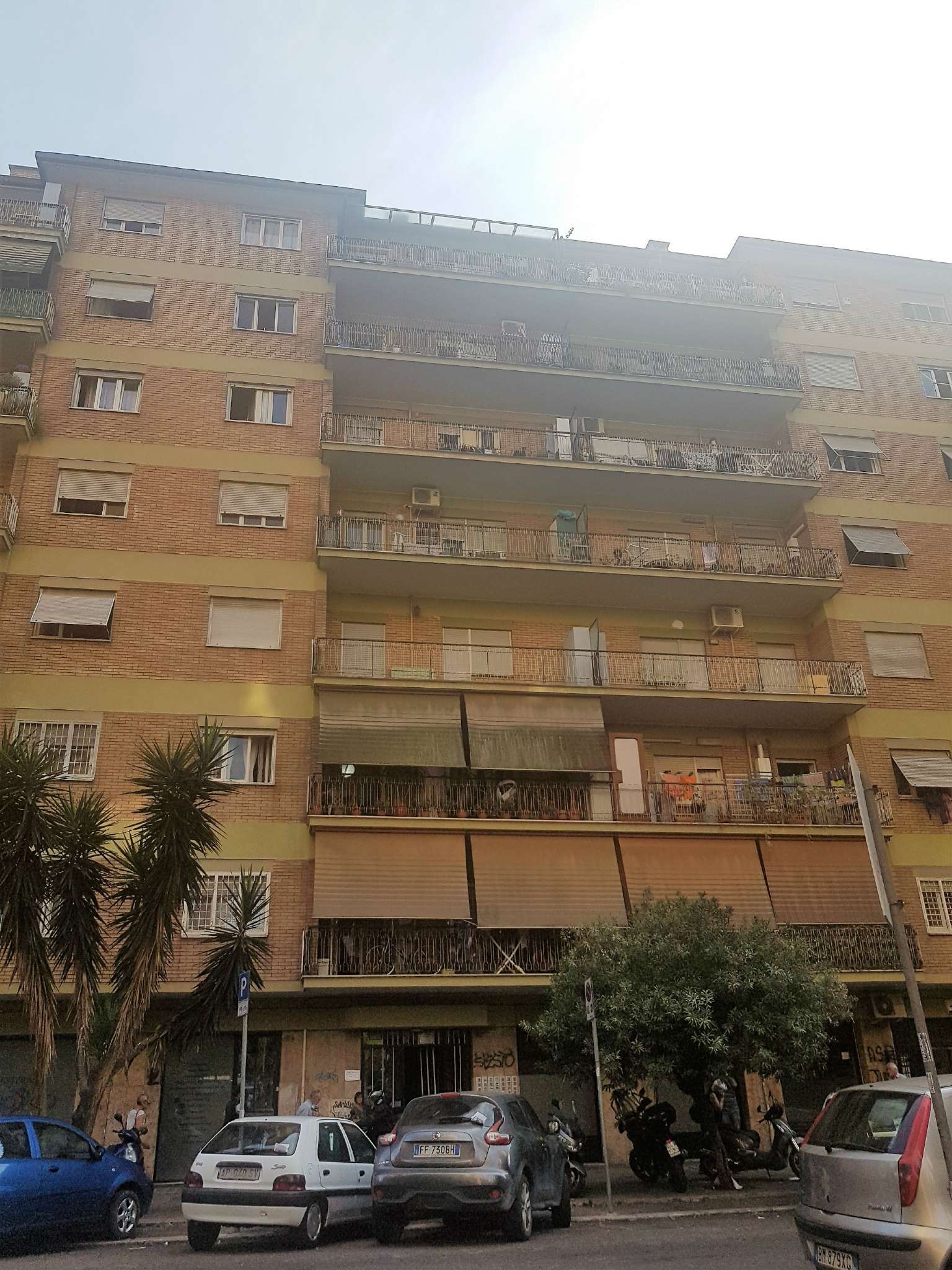  roma affitto quart: tuscolano (vi mun.) asso programma casa