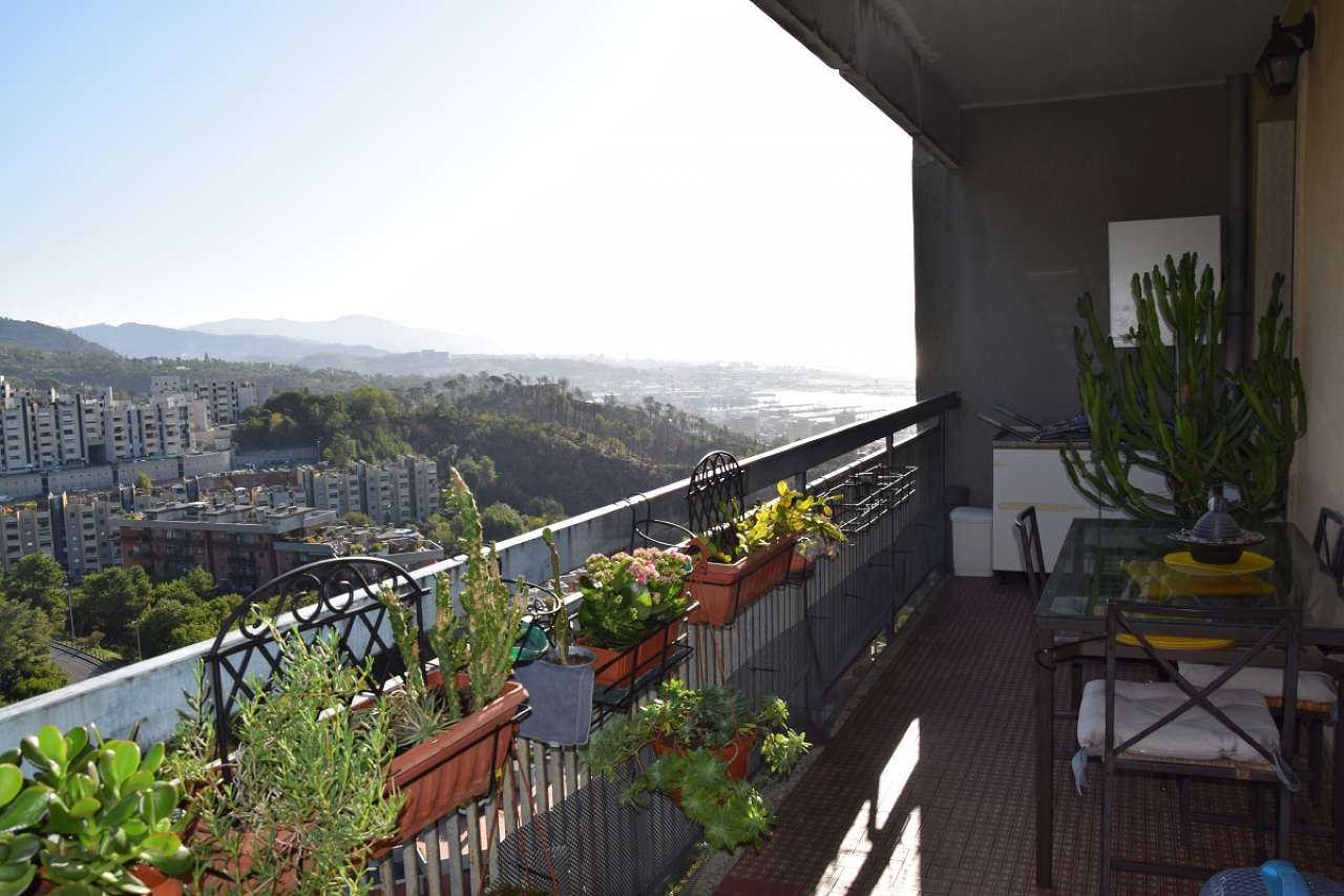 Appartamento GENOVA vendita  PEGLI SALGARI Immobiliare Peglicasa
