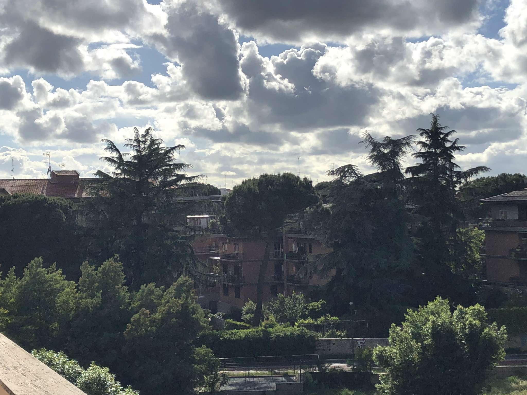 Attico ROMA vendita  TORREVECCHIA di Villa Maggiorani IMMOBILIARE SASCARO di Elisabetta Sascaro