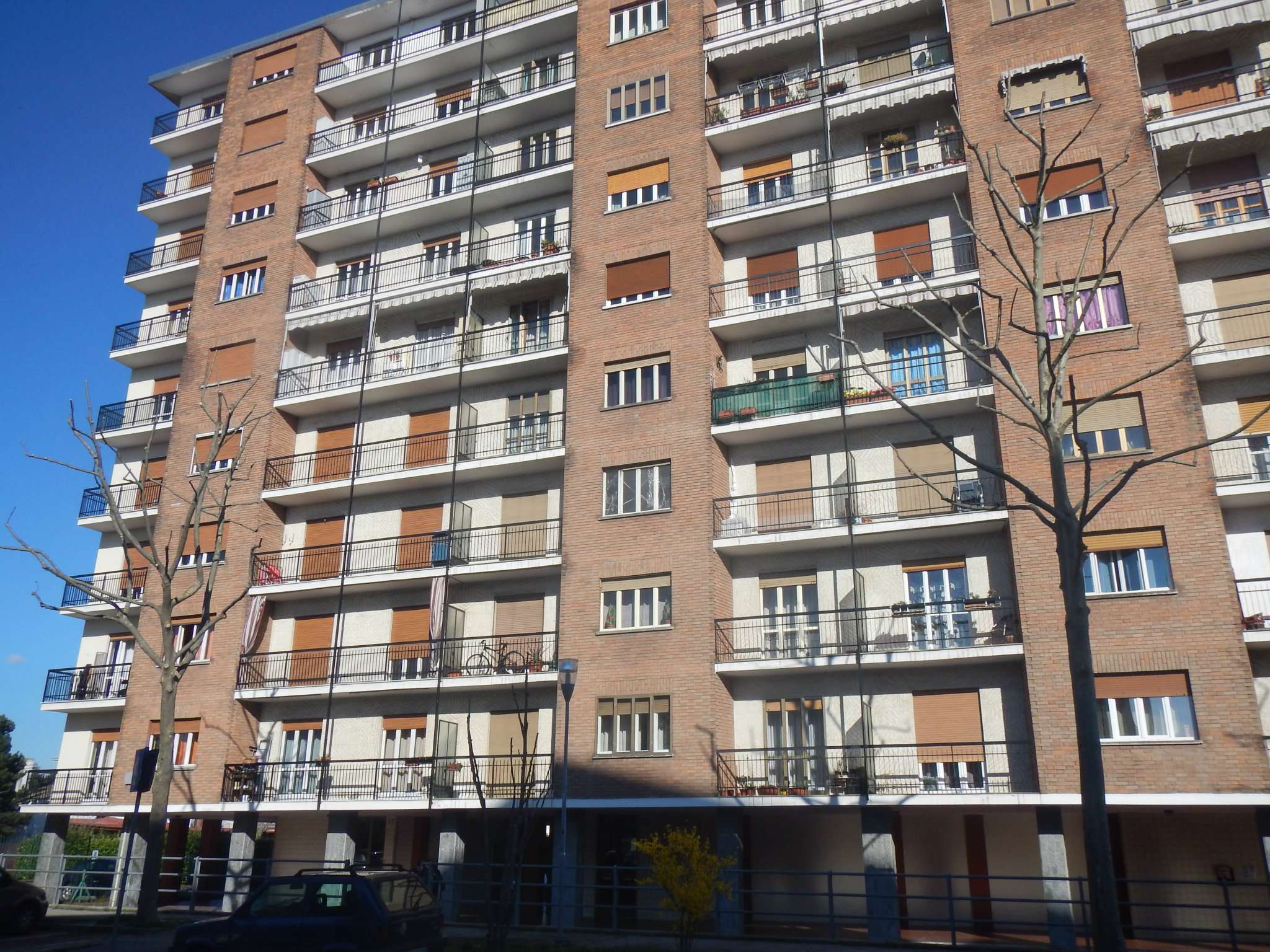  grugliasco affitto quart:  immobiliare carlo alberto