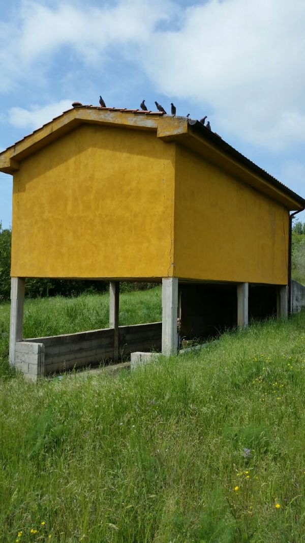 Stabile intero - Palazzo LIVORNO vendita  POPOGNA delle Ghiandaie Radecogroup