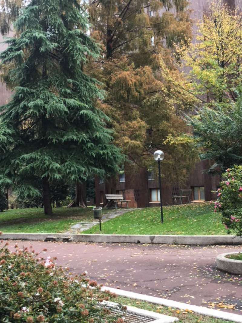Ufficio - Loc.Com. MILANO affitto  BARONA D'alviano studio immobiliare vercelli
