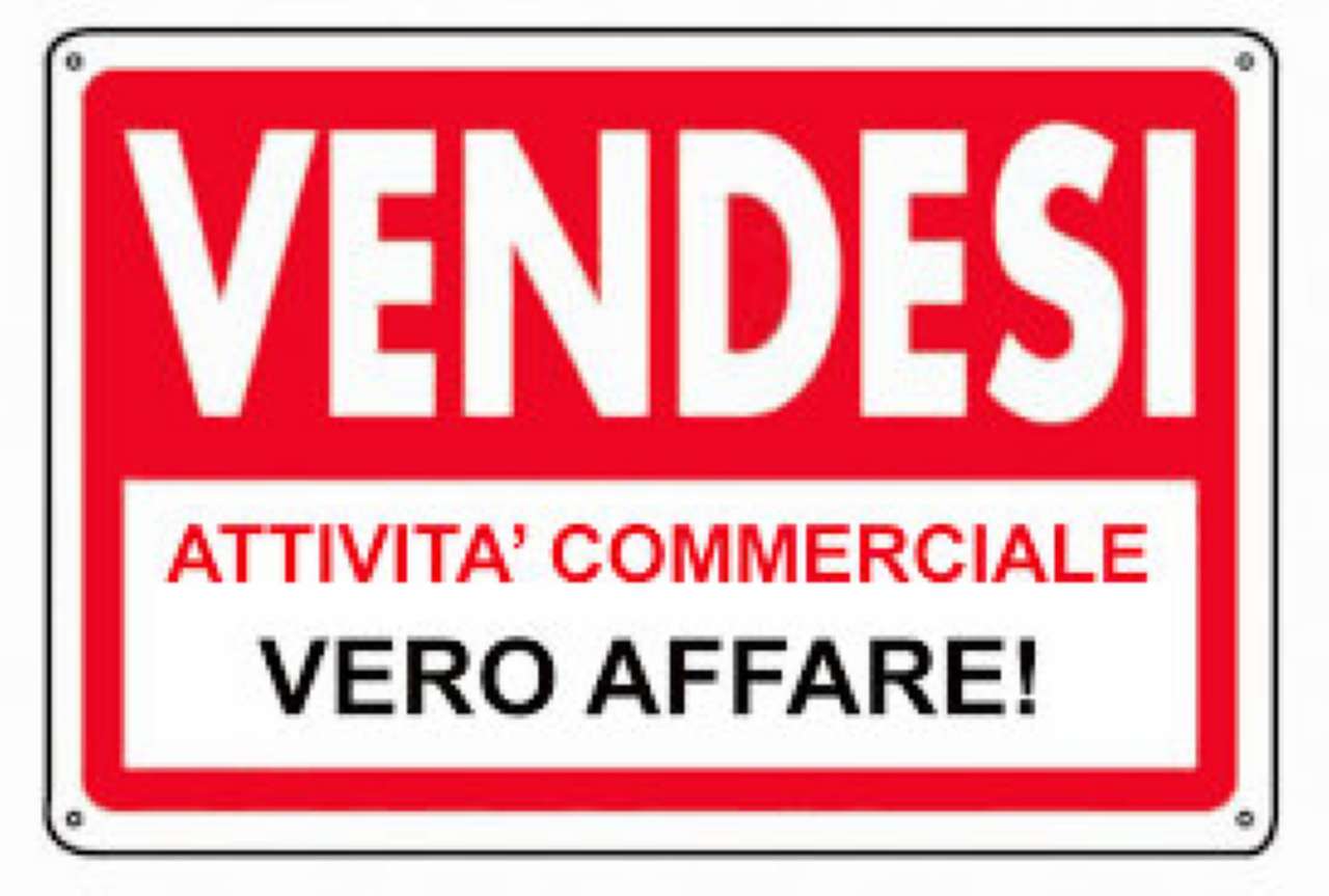 Appartamento DOLO vendita    Gambaro Intermediazioni Commerciali