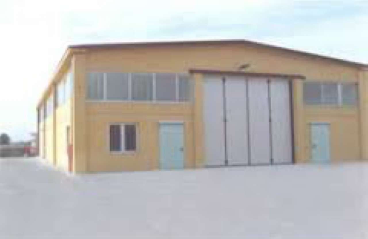 Capannoni (Tutti) VENEZIA affitto  MARGHERA  Gambaro Intermediazioni Commerciali