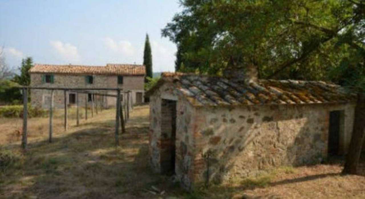 Rustici in affitto e vendita a montalcino