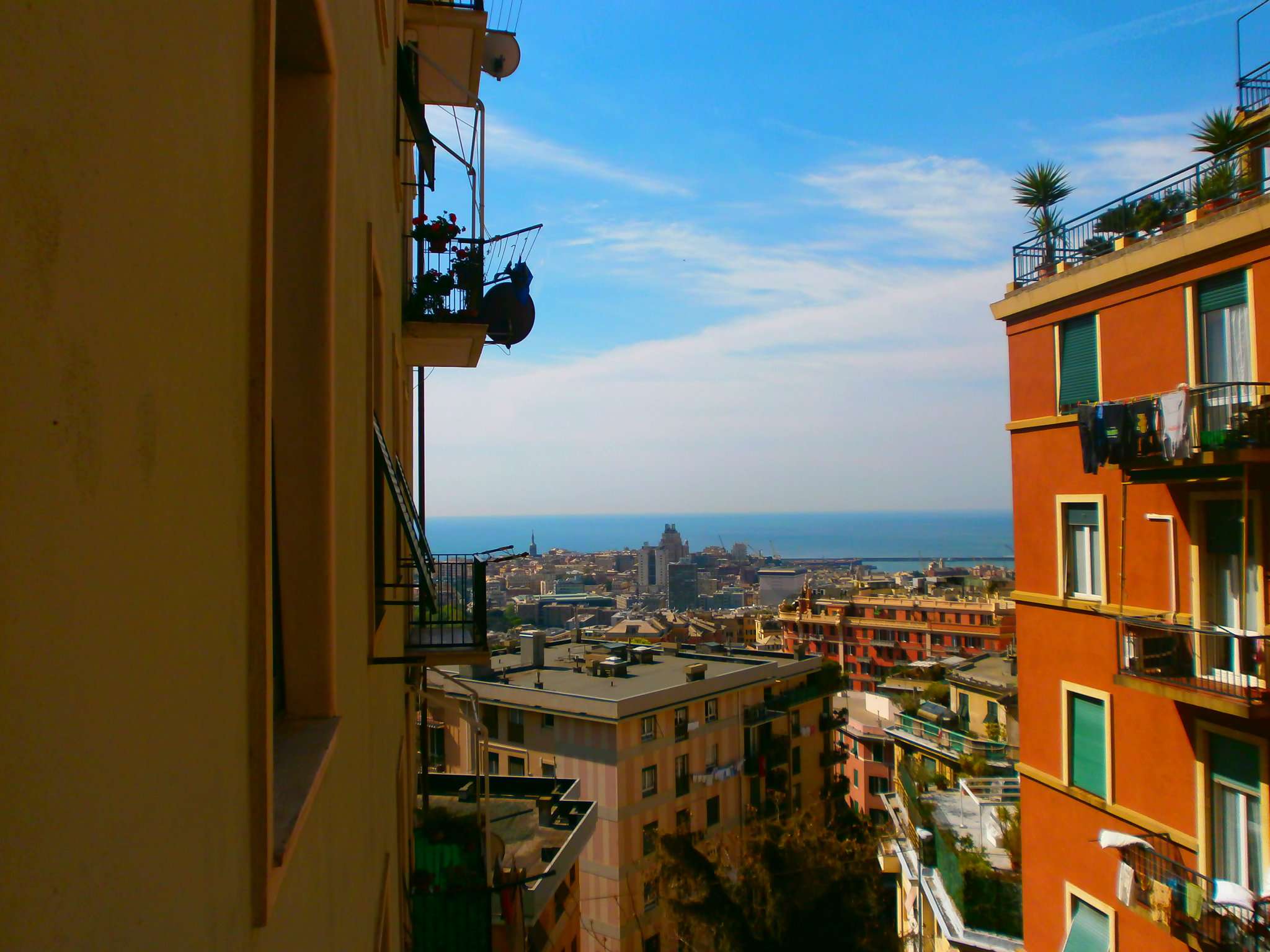  genova vendita quart: castelletto studio bellotti