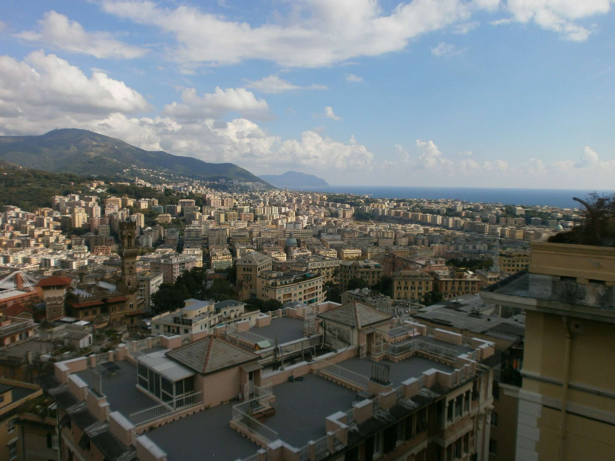  genova vendita quart: castelletto studio bellotti